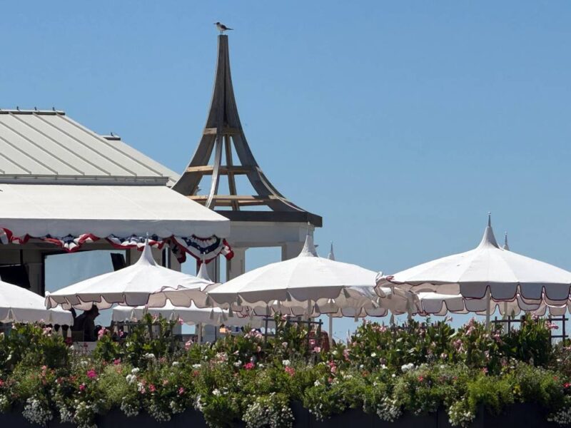 Perfectly peaked umbrellas with a witch's peak architecture and a Gull seated atop