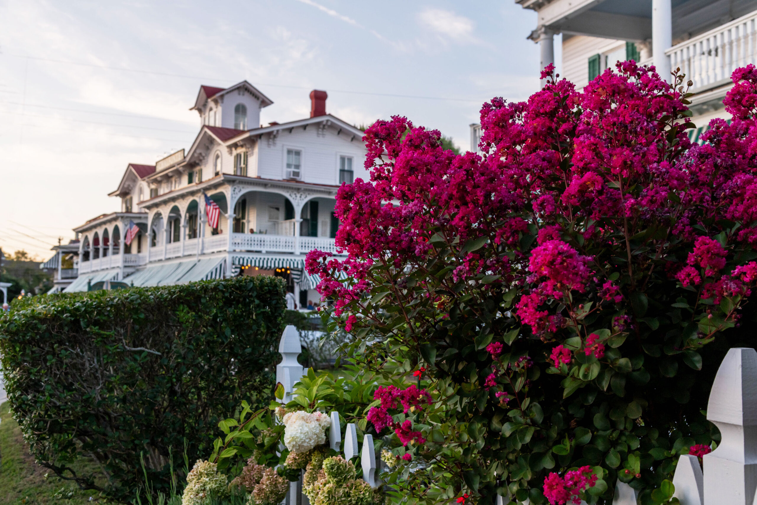 A bright magenta flowering bush in focus in front of The Chalfonte. The sky is blue with white wispy clouds.