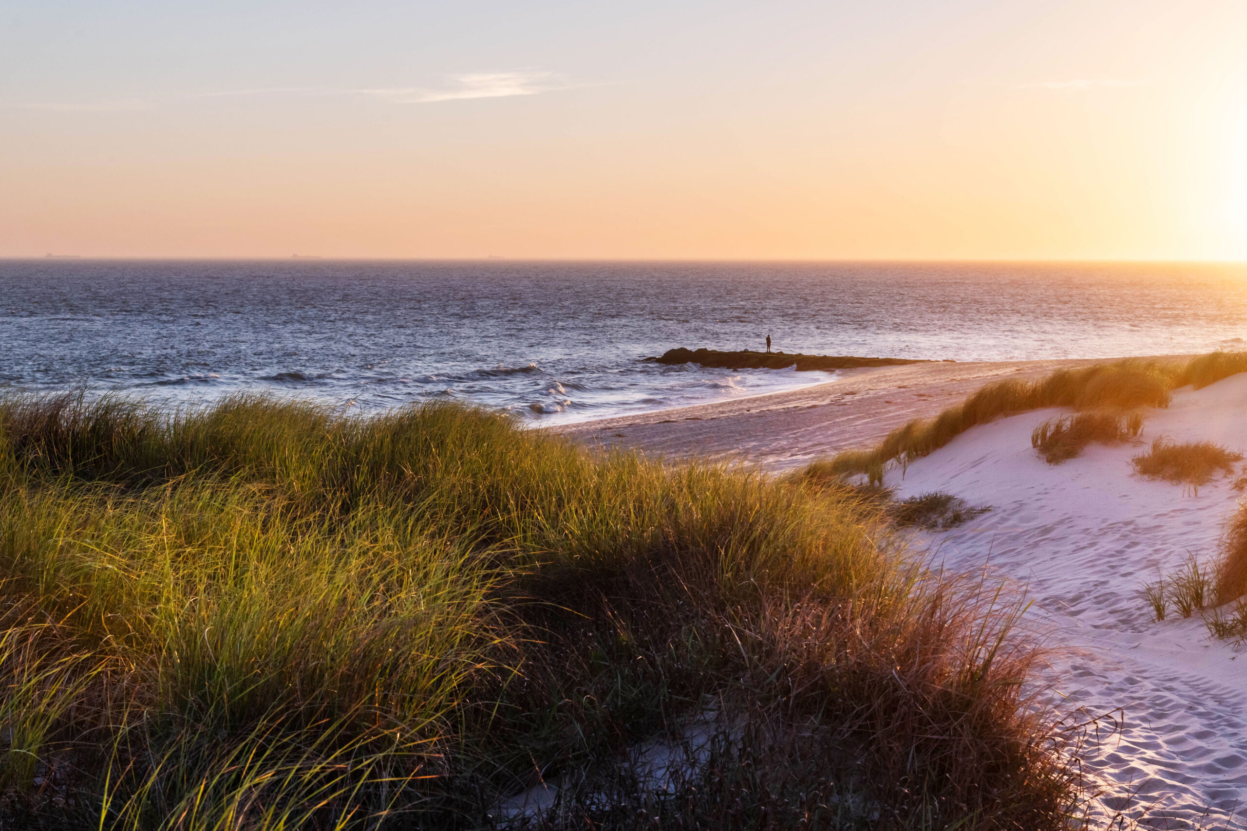 A wide view of the beach dunes and the ocean. The green dunes are in the foreground, with a path leading to the ocean. In the distance, a person is standing on the rocks leading out to the ocean. The sky is clear, blue, and yellow.