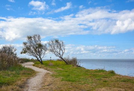 View of the water from Higbee Beach