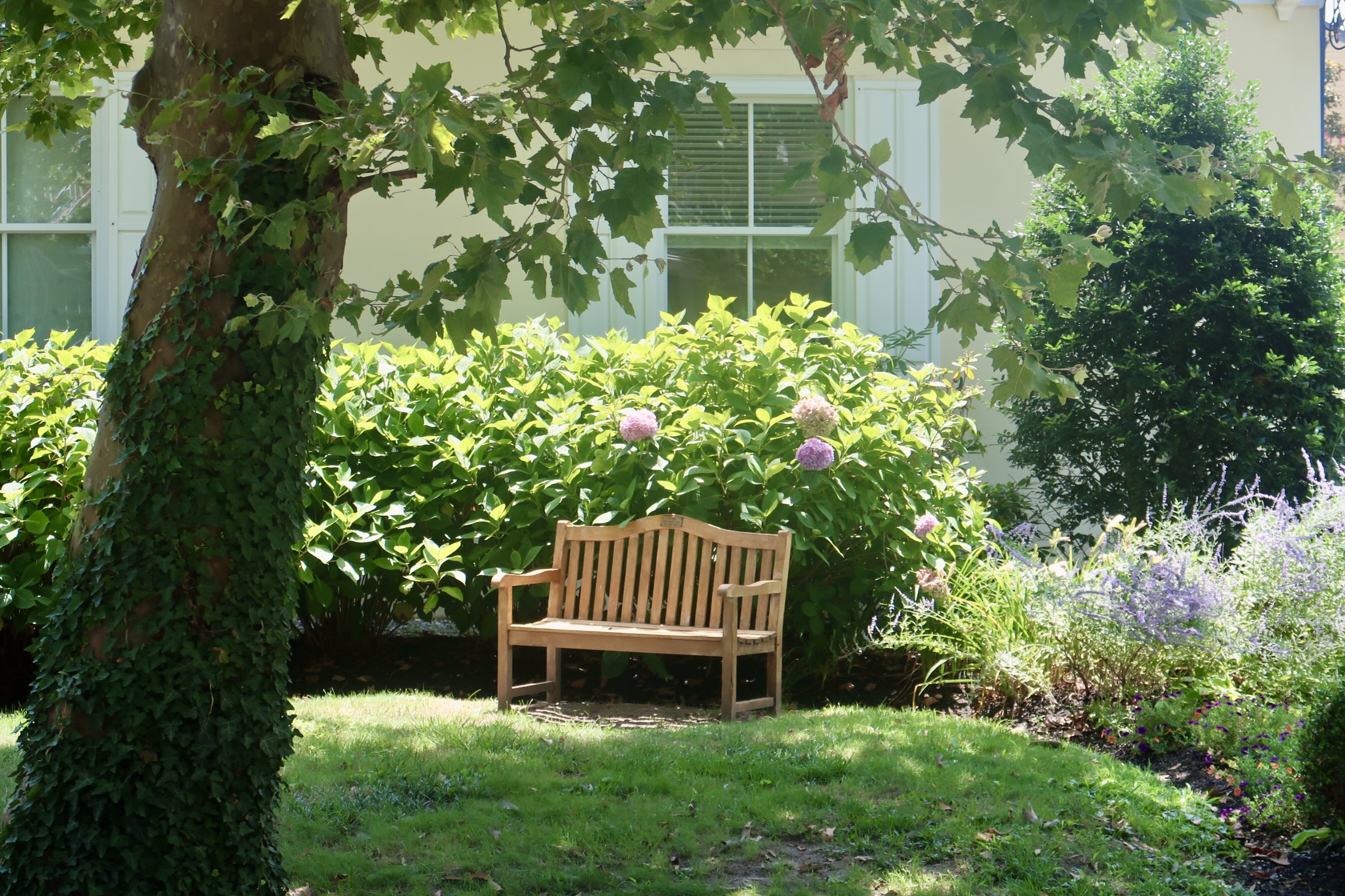 Bench in garden in during summer