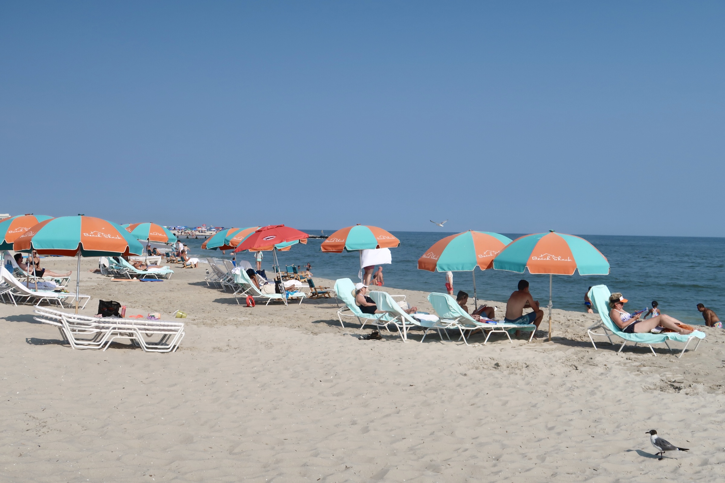 Beach Shack umbrellas on the beach