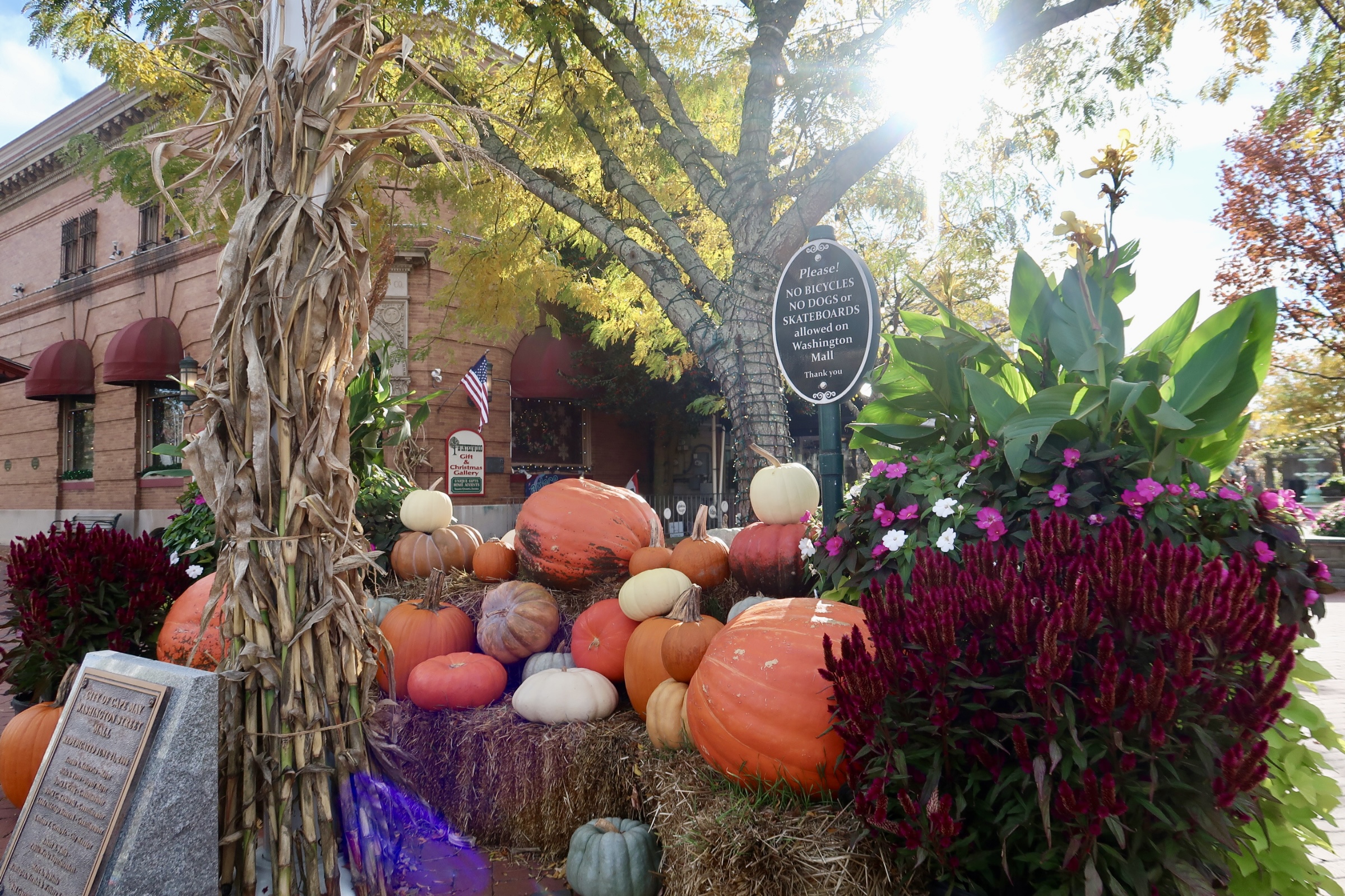 Pumpkin Fall display on Washington Street Mall