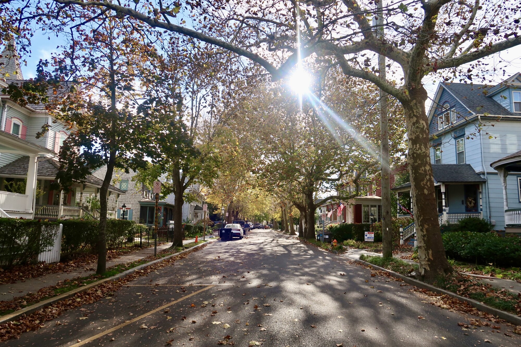 Hughes Street leaves falling off trees in the Fall