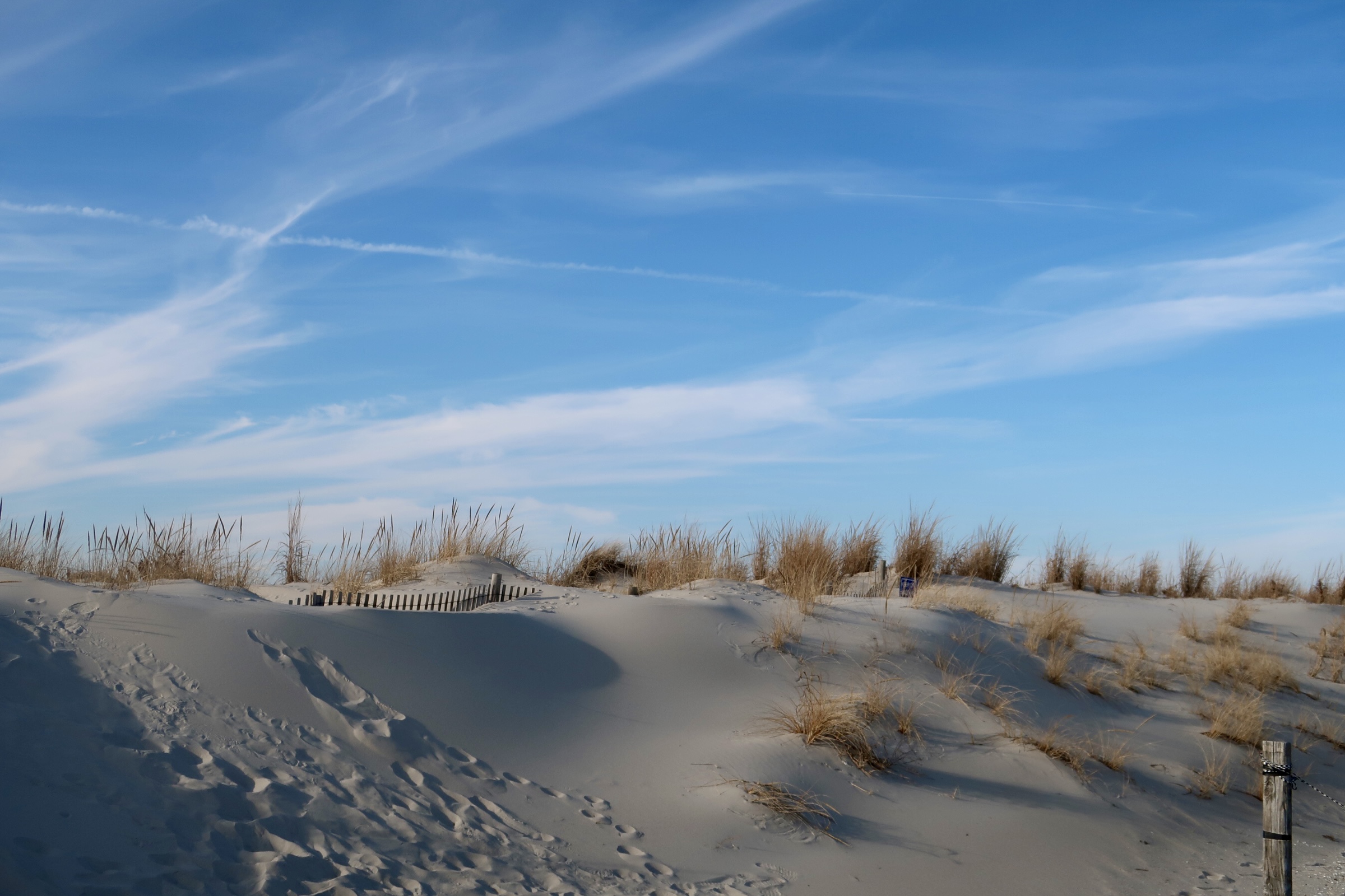 Blue sky over the dunes at the Cove 