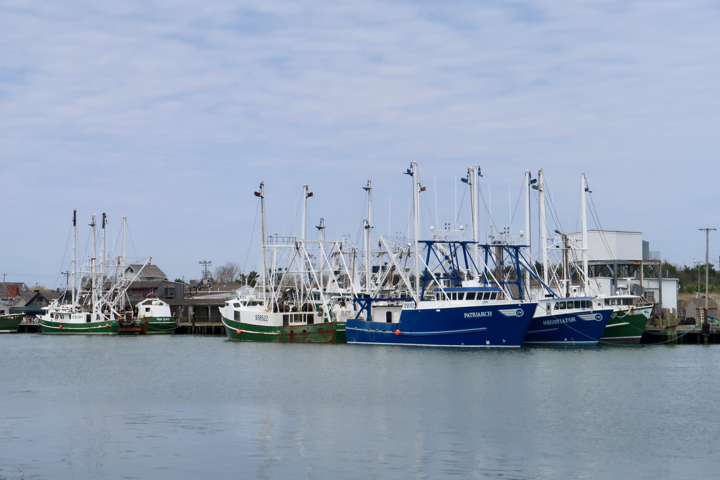 Boats lined up at Cape may Harbor