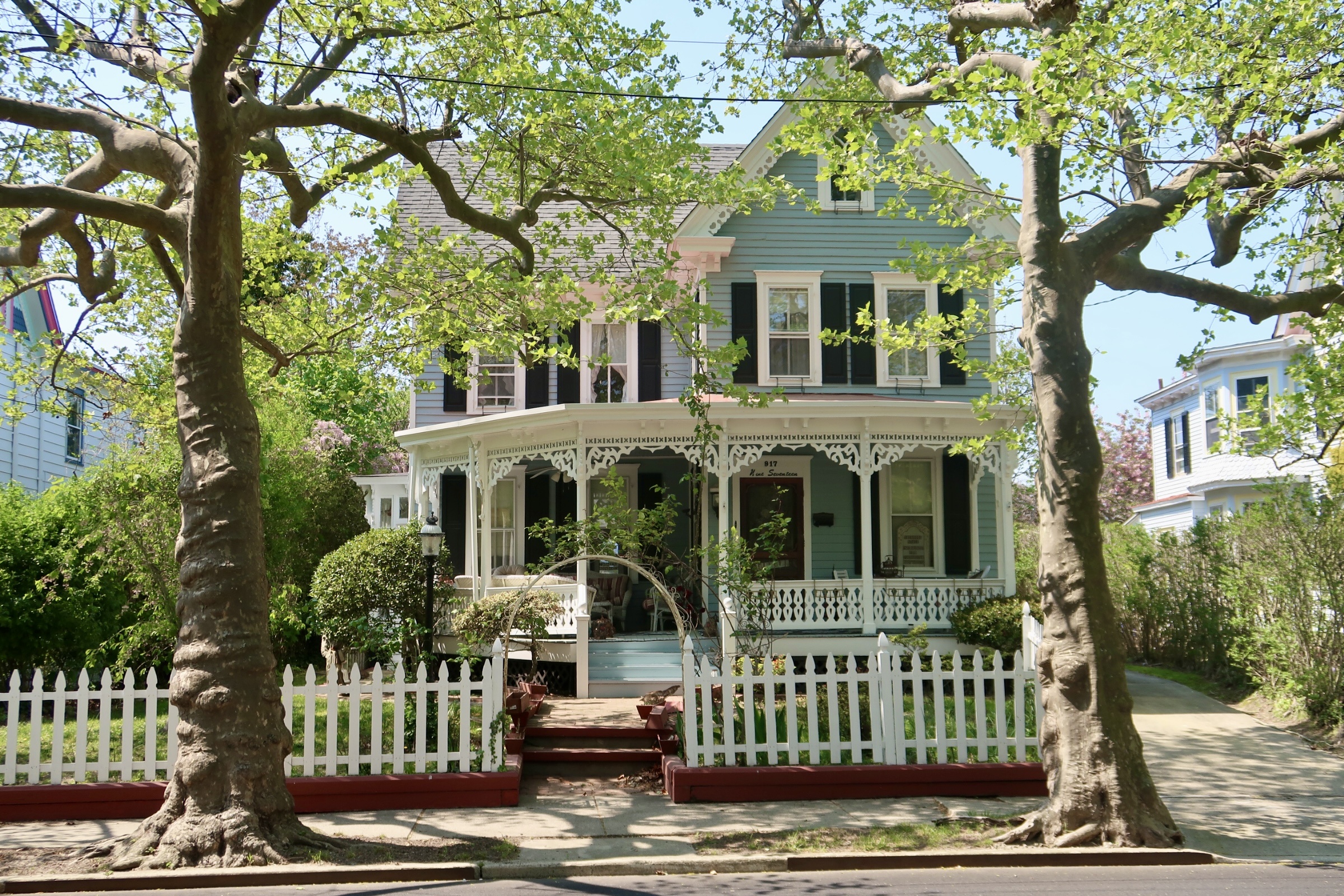 Shade Between Trees in Cape May