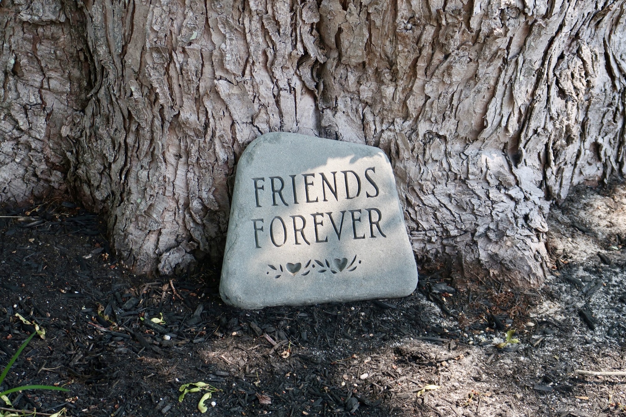 Friends Forever stone in garden