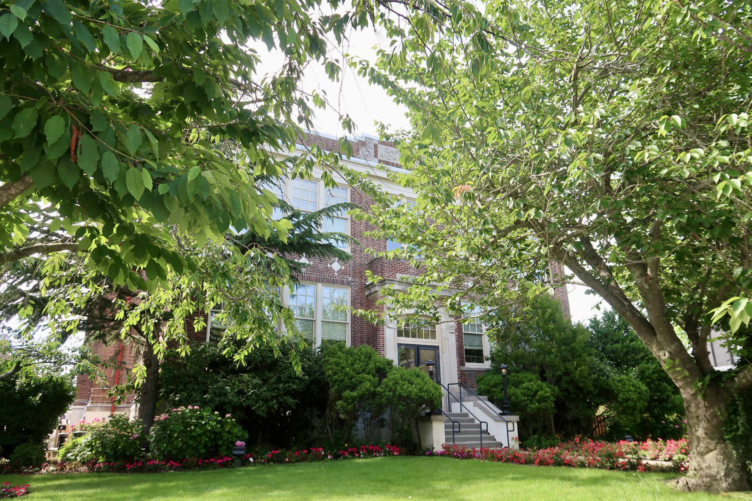 Greenery outside of cape may City Hall