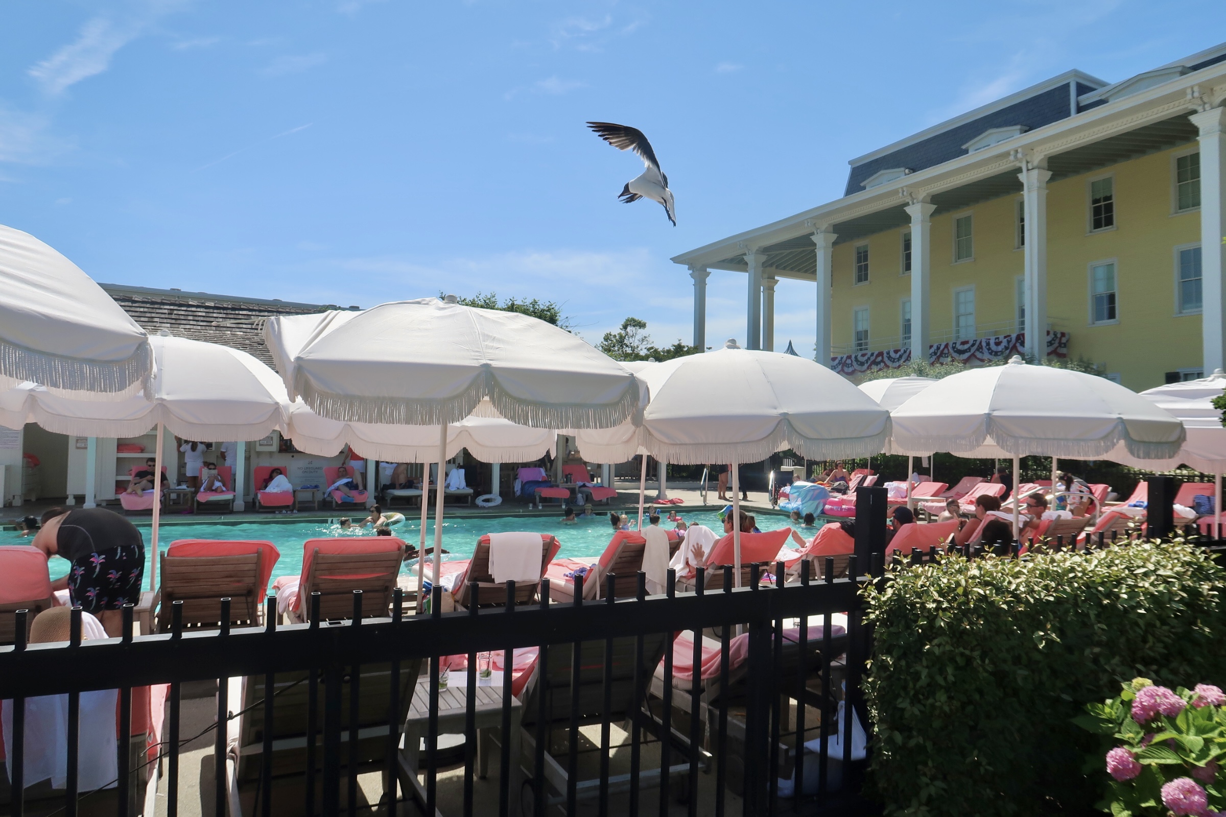 Congress hall pool in july
