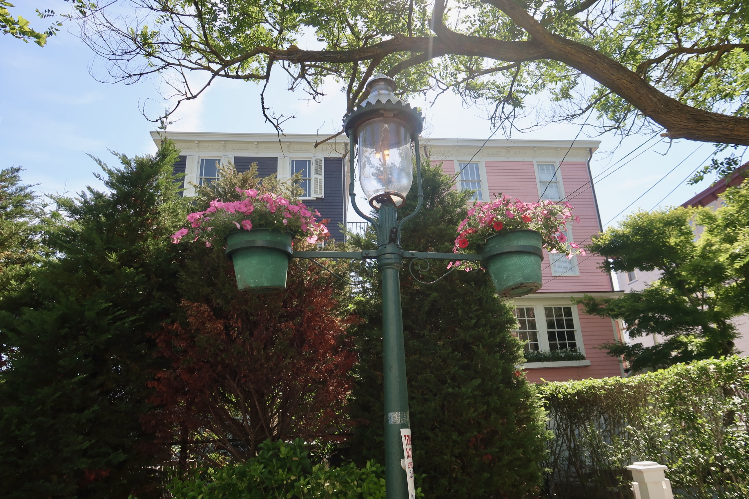 Light post with potted flowers between two houses on Jackson Street