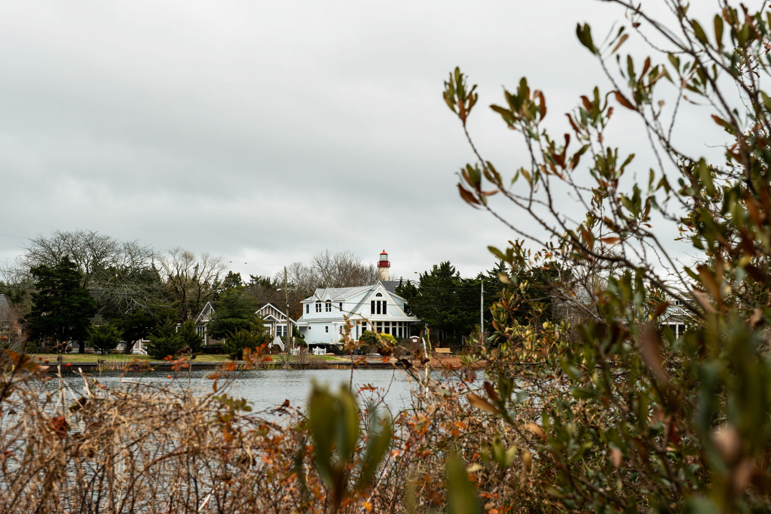 A wide view of the top Cape May Lighthouse peaking behind a White House behind Lily Lake. The sky has gray clouds, and there is some bushes and bramble in the foreground.