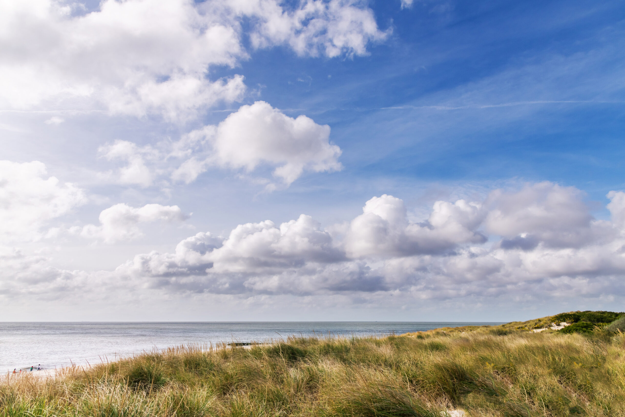 A wide view of beach dunes, the ocean, and the sky. The sky is bright blue with puffy white clouds and a thin white cloud. The ocean is gray and blue, and the dunes are green and yellow.