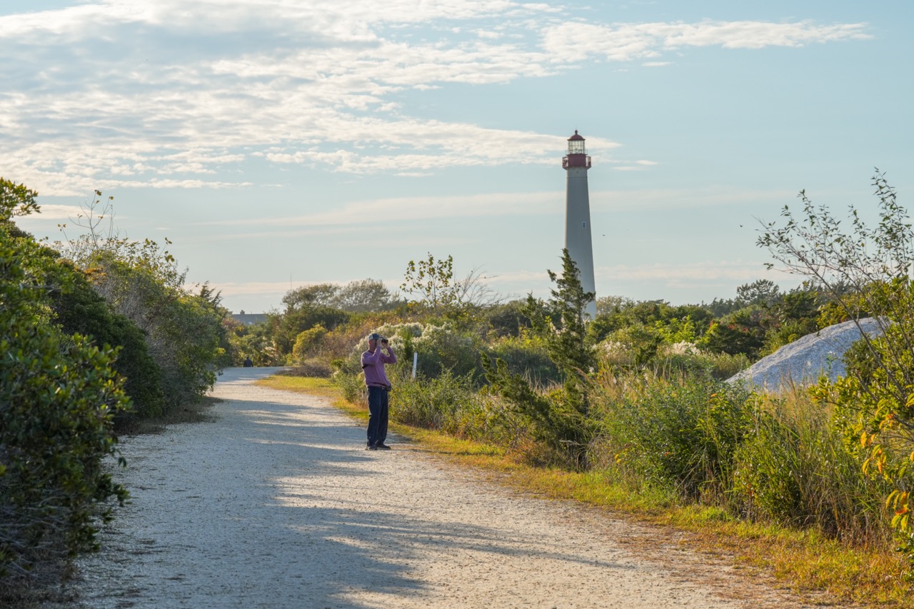 A man Birding in Cape May Point State Park, New Jersey