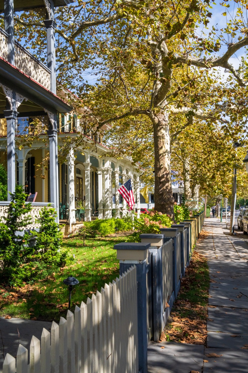 Leaves Are Falling in Town along Columbia Ave.