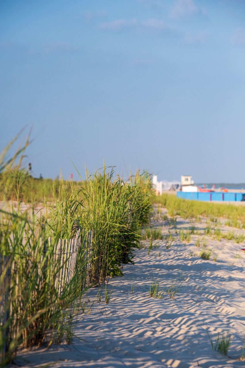 Unique Perspective on the Dunes