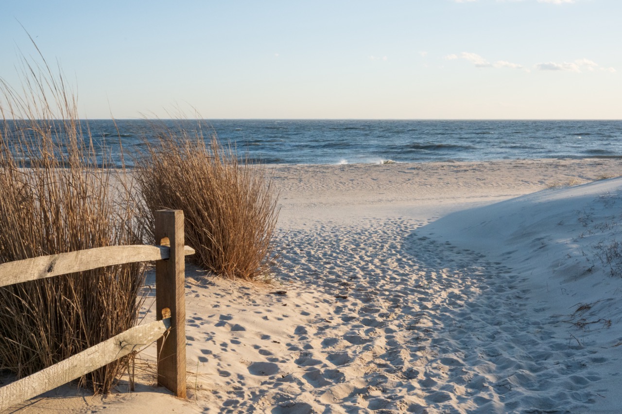 Embracing Serendipity on a early evening beach walk in Cape May Point