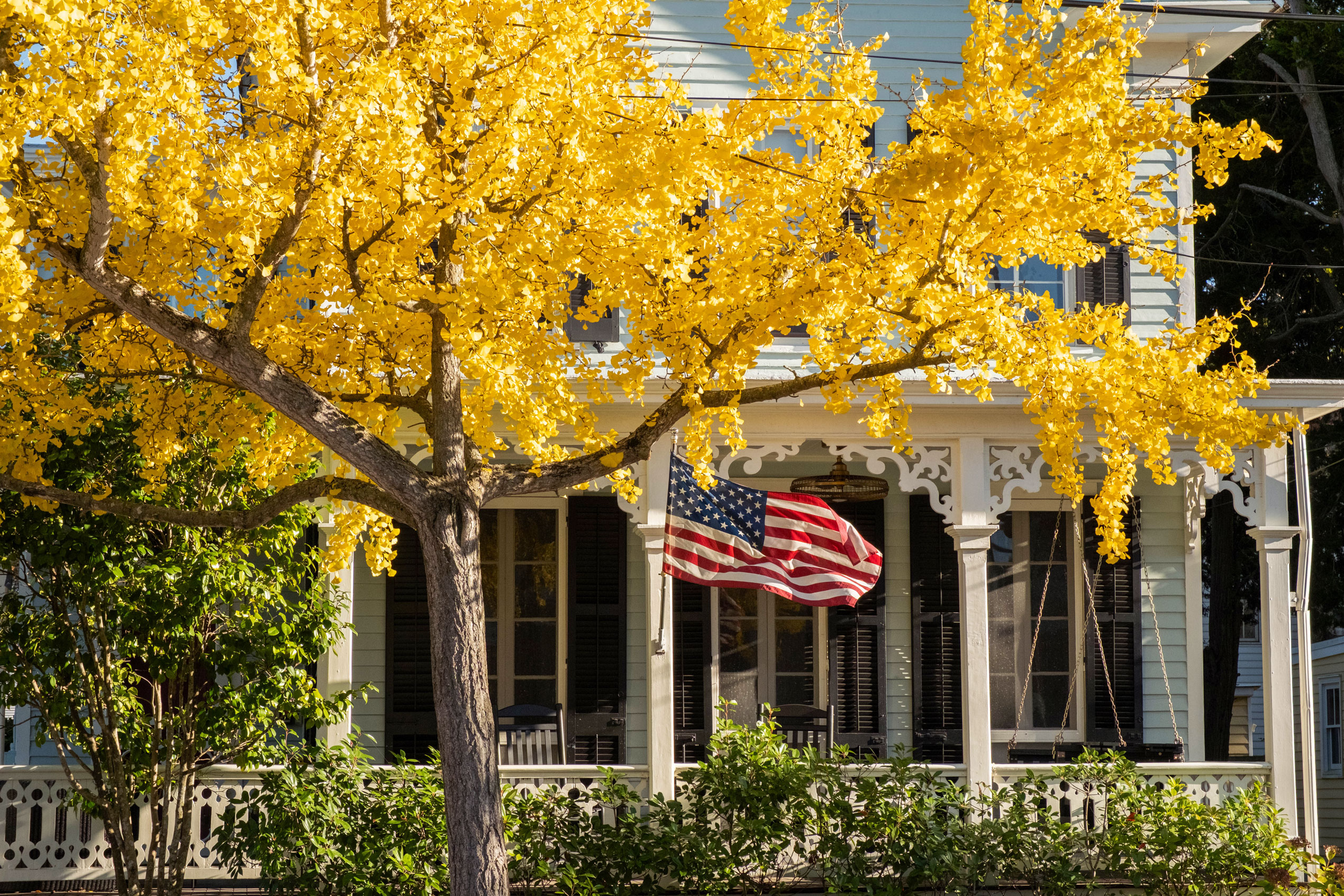 A zoomed in wide view of a front porch of a Victorian home with an American flag blowing in the wind and a tree with yellow leaves.