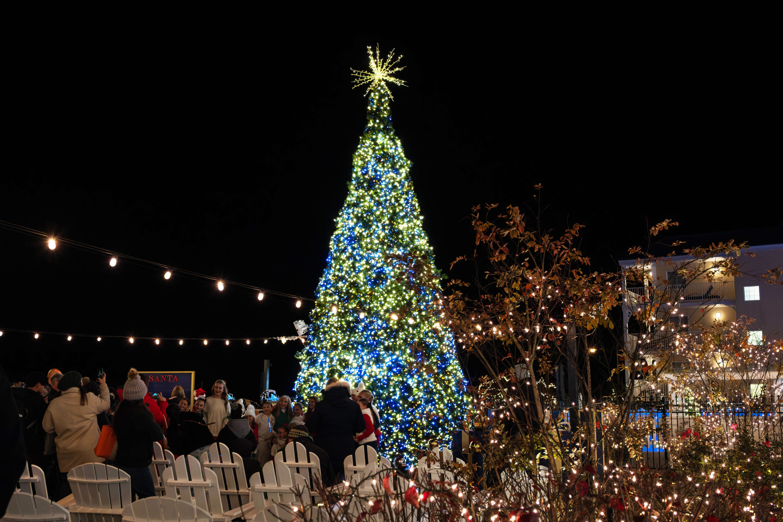 A wide view of a Christmas tree lit up with white and blue lights and a white star at the front lawn of La Mer hotel. People are gathered by the tree taking a photo. There are white lights in plants and shrubbery in the foreground, and white lights strung up around the lawn.