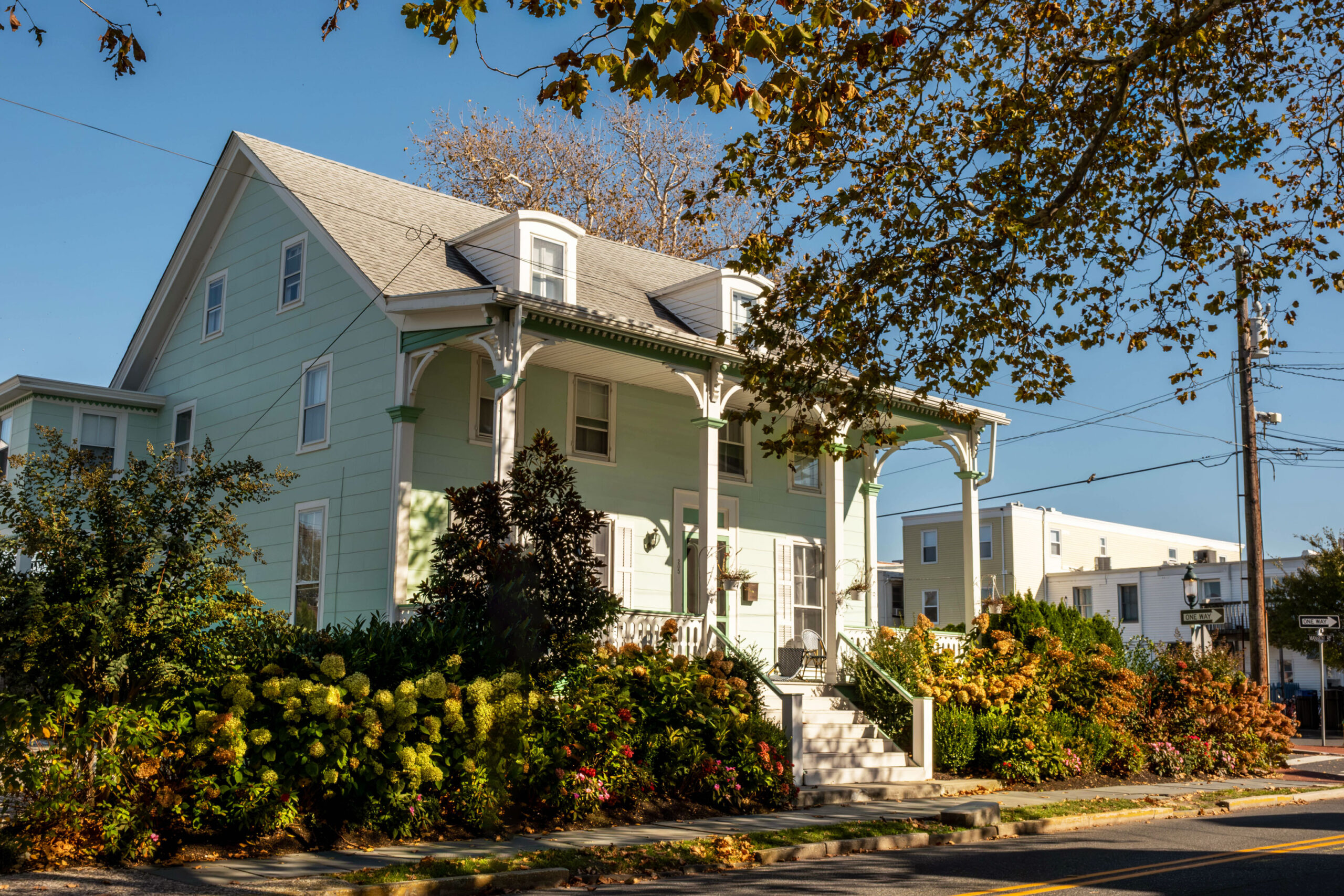 A wide view of a mint green Victorian style house with green and brown hydrangea and bushes in front of the house. Sun is shining on the house, there is a clear blue sky, and leaves from a tree are 