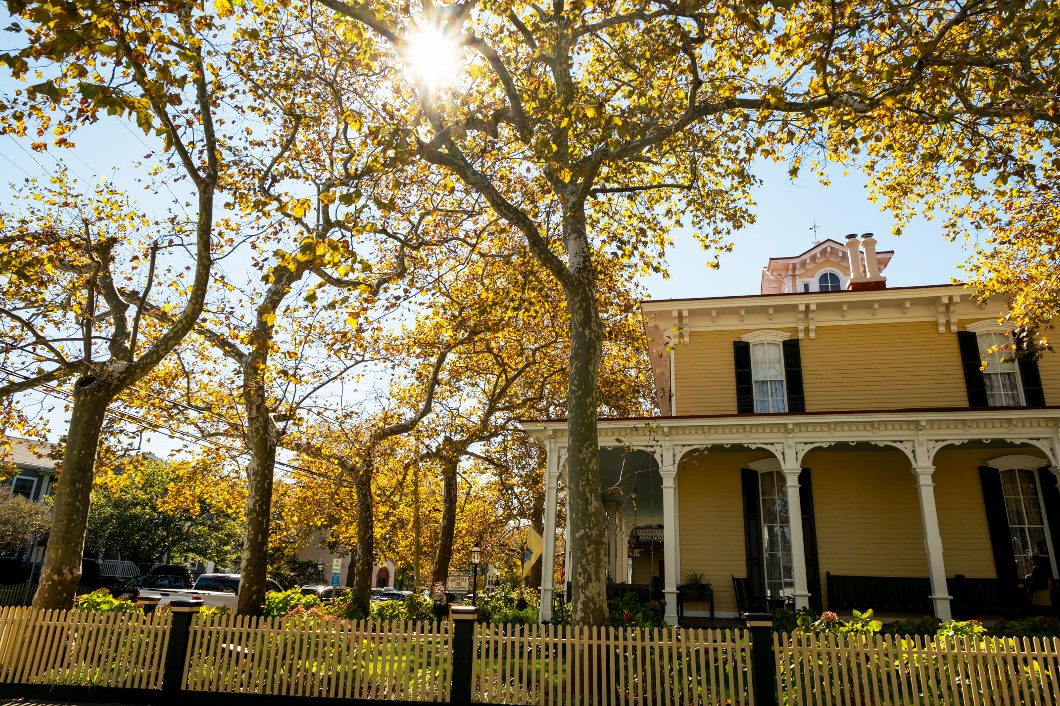 A wide view of the sun shining through trees with yellow leaves at The Mainstay, a yellow Victorian style bed and breakfast.