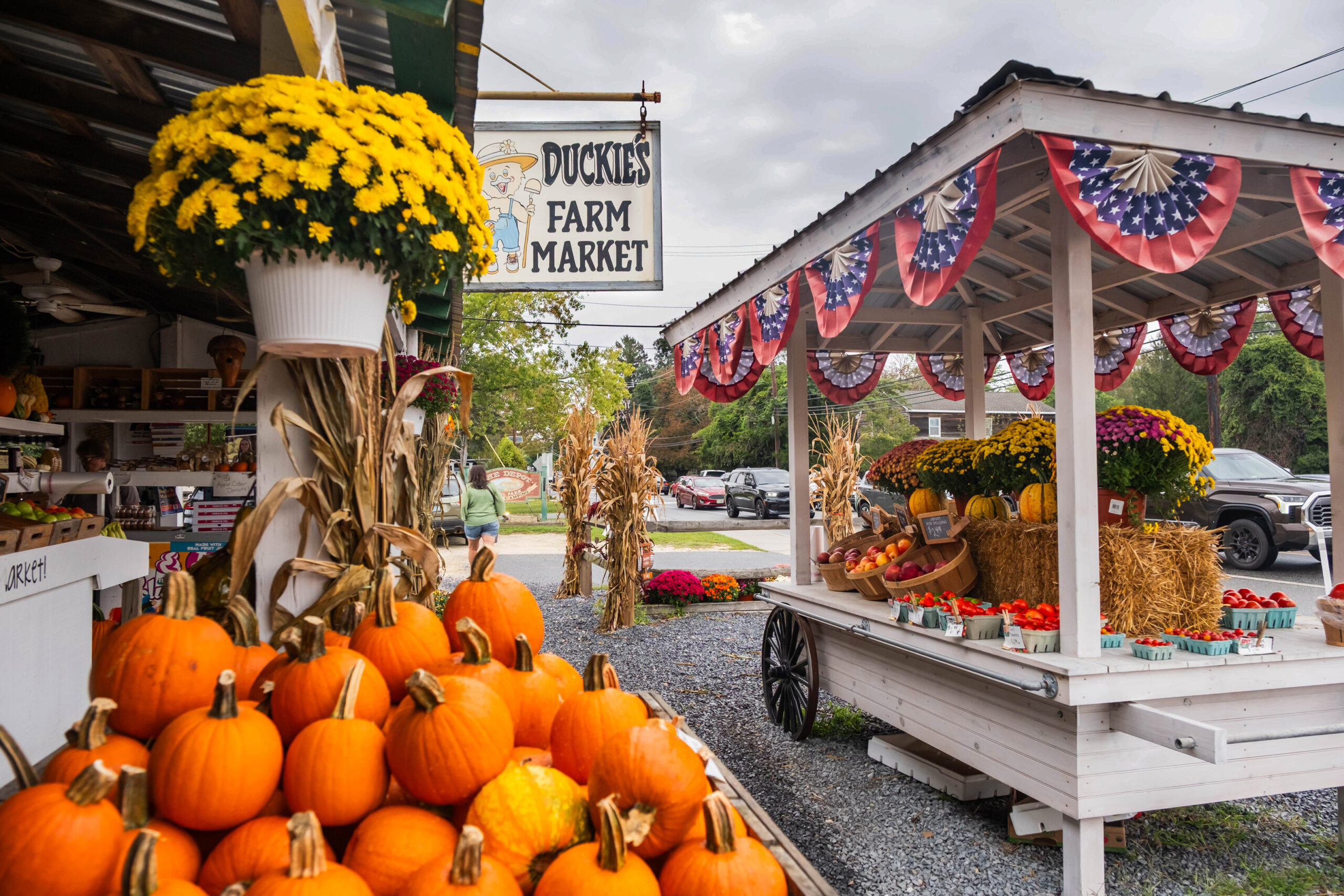 A wide view of a farm stand with pumpkins and yellow mums. There is a chart pictured to the right with more mums, produce, and American flag bunting hanging. There is a sign that says "Duckies Farm Market" hanging from the stand.