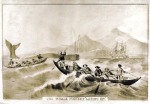 Courtesy of Nantucket Whaling Museum