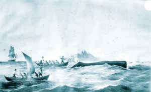 Courtesy of Nantucket Whaling Museum