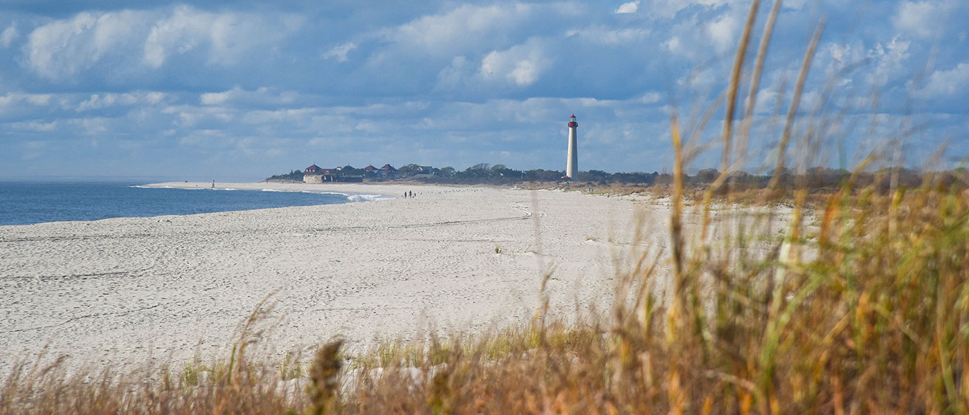 The Cove beach during the winter