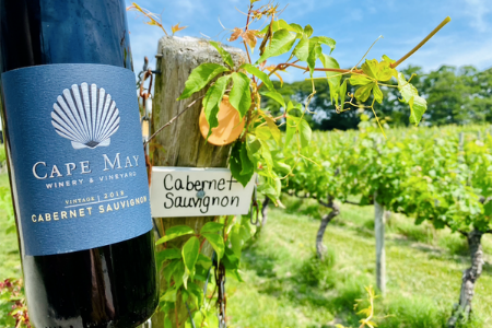 Cape May Winery