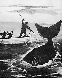 whaling